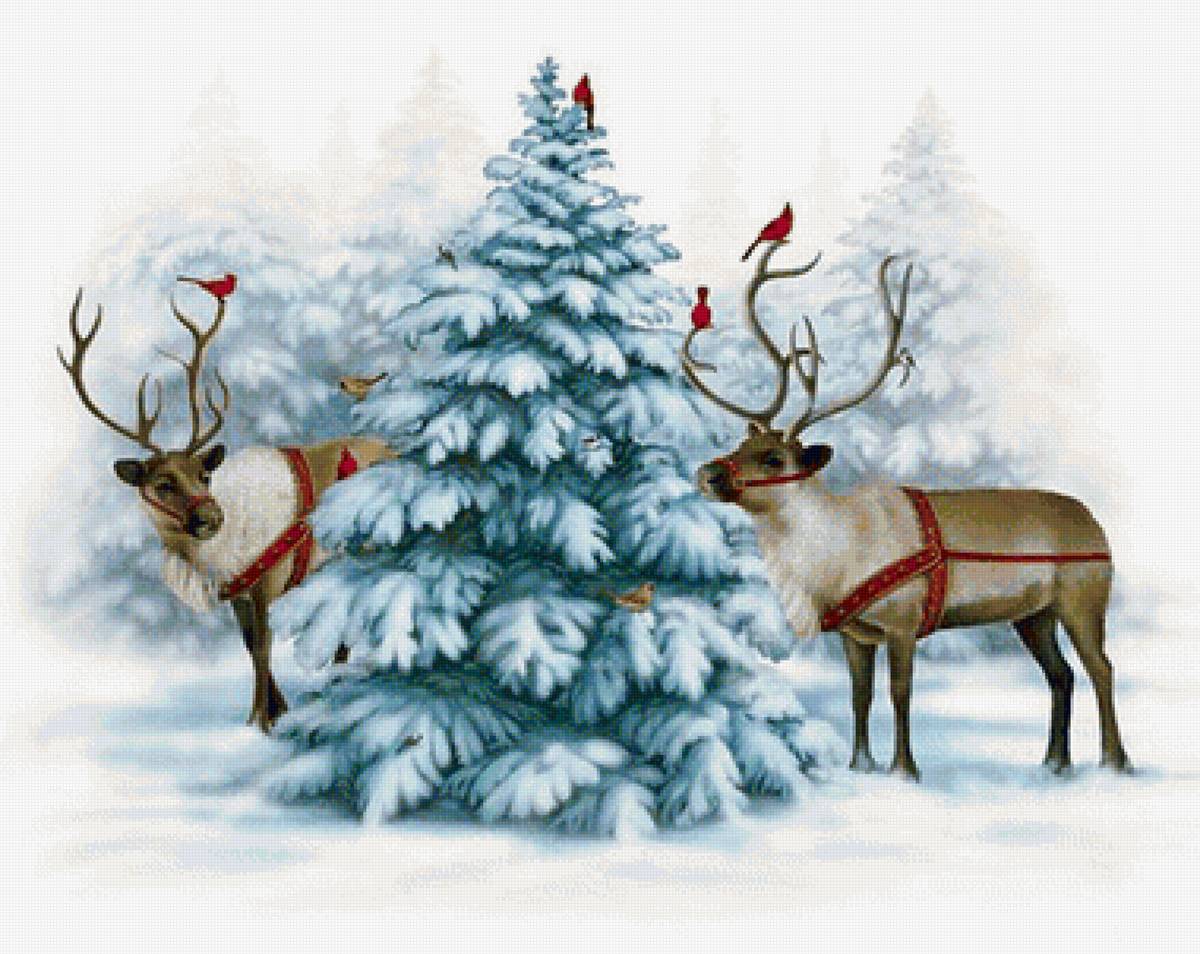 Олени у ёлки - олени, елка, зима, лес - предпросмотр