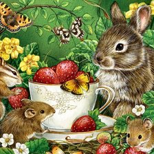 Схема вышивки «Летнее лакомство»