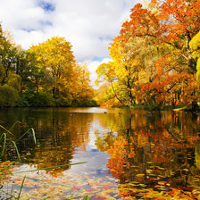 Схема вышивки «Осенний пруд»