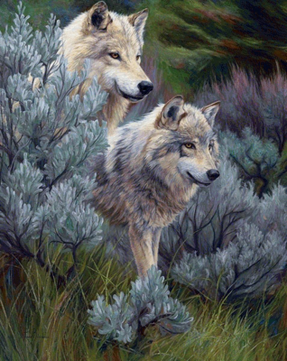 Волки - животные - предпросмотр