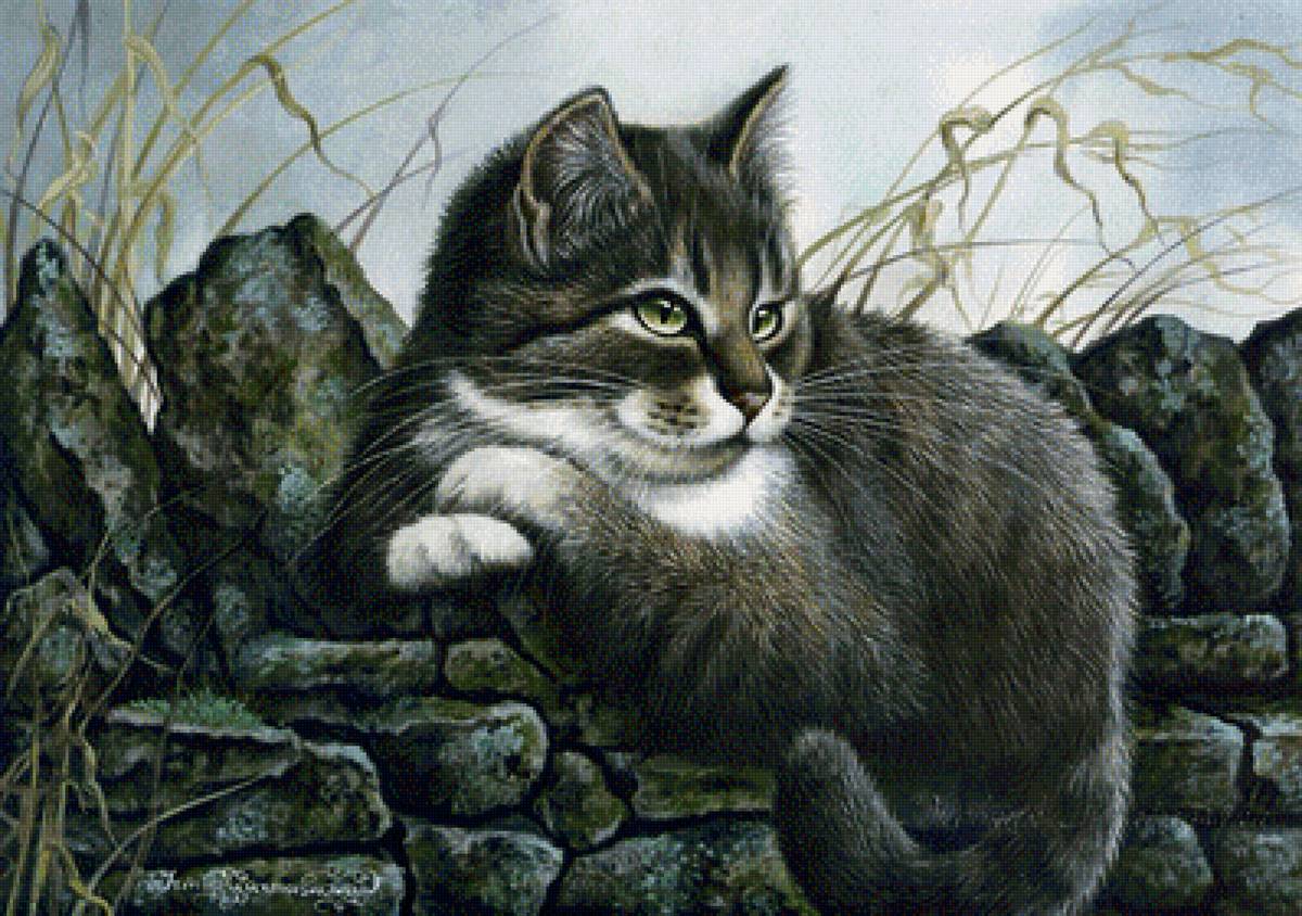 Замаскировался... - коты, камни - предпросмотр