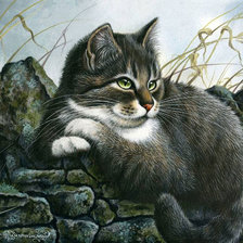 Схема вышивки «Замаскировался...»