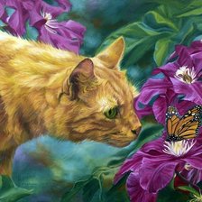 Схема вышивки «№1644008»