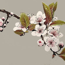 Схема вышивки «Яблоня»