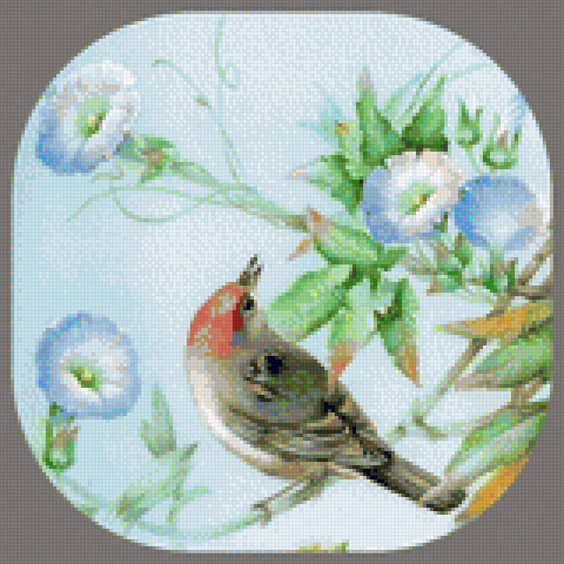 Вьюнок - птица, вьюнок, ипомея, цветы - предпросмотр