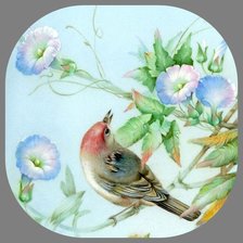 Схема вышивки «Вьюнок»