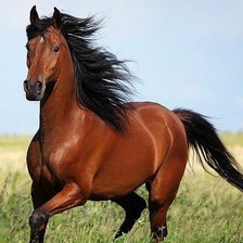 Схема вышивки «№1644042»