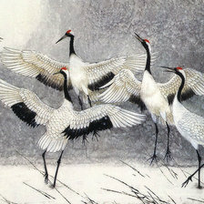 Схема вышивки «Танец журавлей»