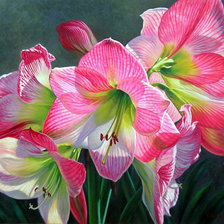 Схема вышивки «цветы»