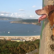 Схема вышивки «Sita3»