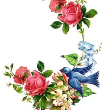 Схема вышивки «птица»