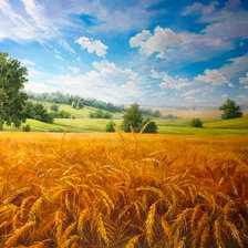 Схема вышивки «Пшеничное оле»