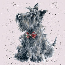 Схема вышивки «Собачка»