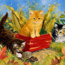 Схема вышивки «mačičky»