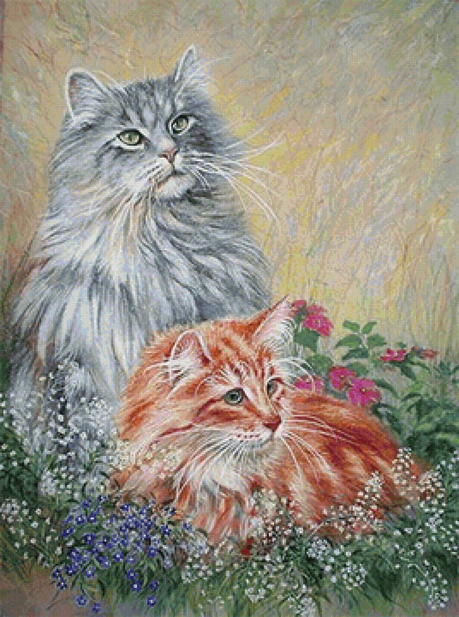 Коты - животные - предпросмотр