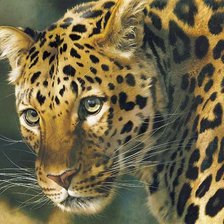 Схема вышивки «леопард»