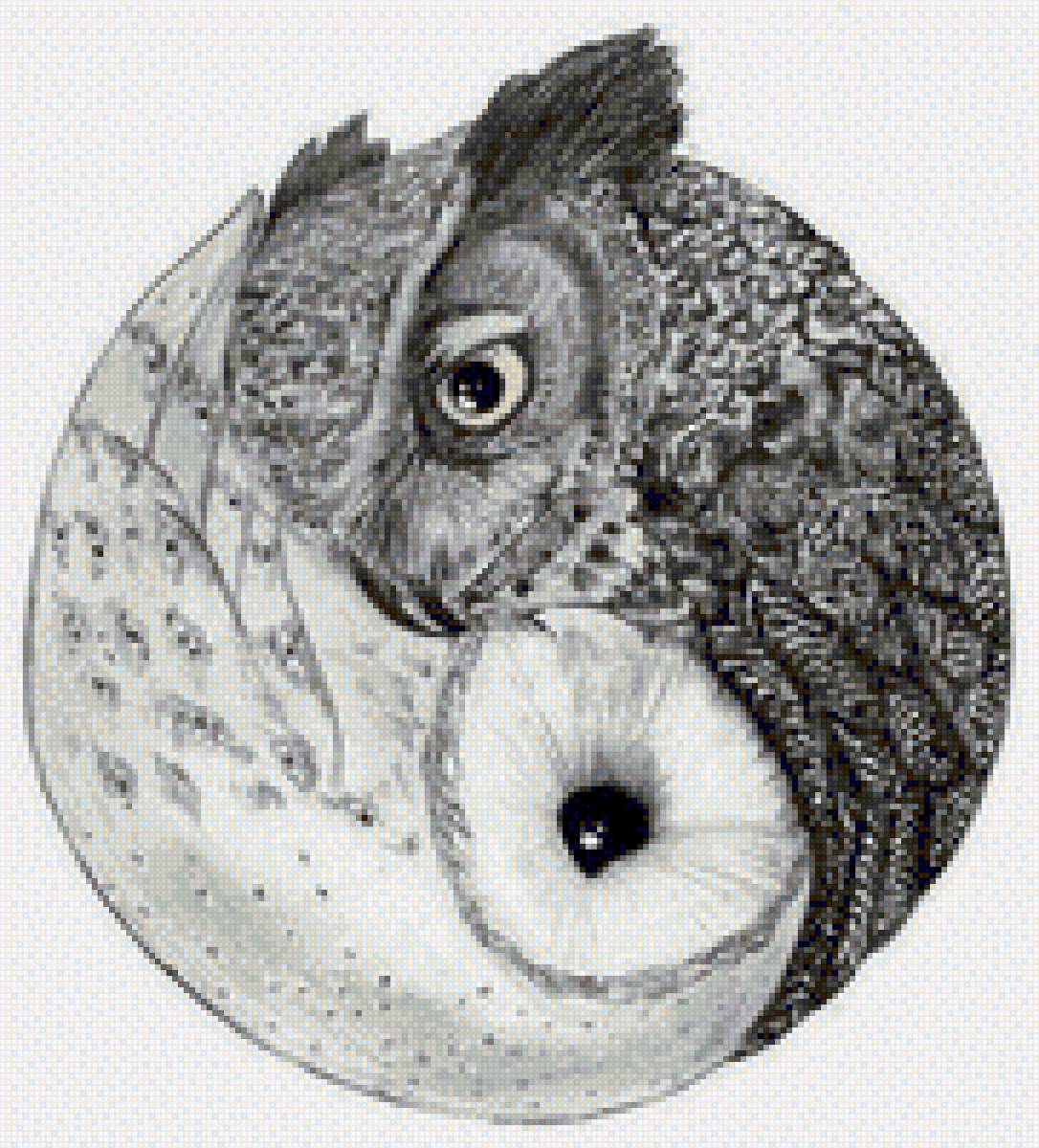 owl yinyang - owl yinyang - предпросмотр