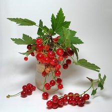 Схема вышивки «ягодное настроение»