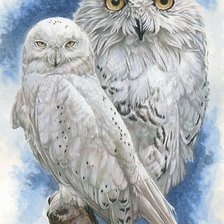 Схема вышивки «owlswhite»