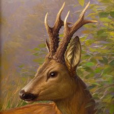 Схема вышивки «№1645107»