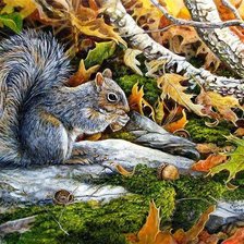 Схема вышивки «Белка»