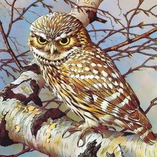 Схема вышивки «№1645391»