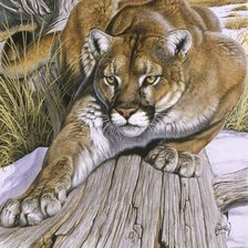 Схема вышивки «Серия "Хищники". Крадущийся»