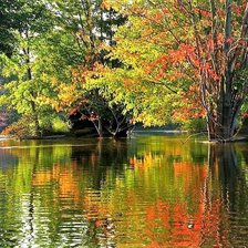 Схема вышивки «краски осени»