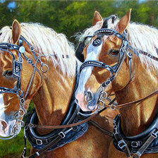 Схема вышивки «№1645810»