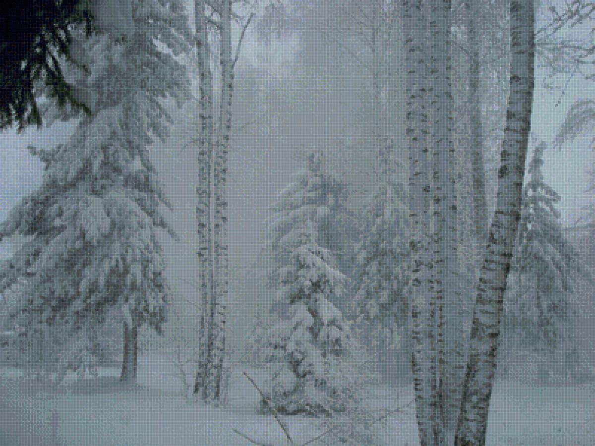 №1645917 - предпросмотр