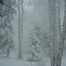 Схема вышивки «№1645917»