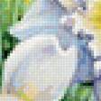 Предпросмотр схемы вышивки «№1645927»