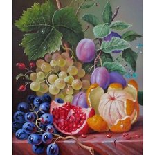 Схема вышивки «№1646051»