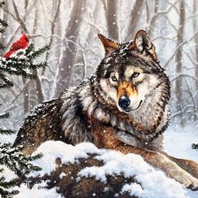 Схема вышивки «взгляд волка»