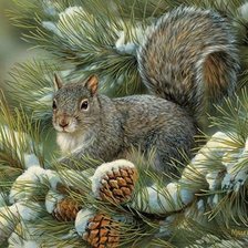 Схема вышивки «белка»