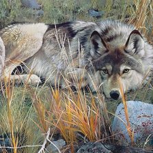 Схема вышивки «№1646112»