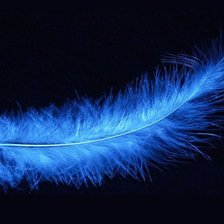 Схема вышивки «Перо»