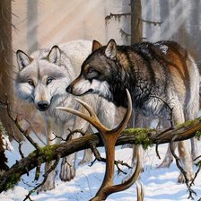 Схема вышивки «волки»