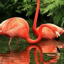 Схема вышивки «фламинго»