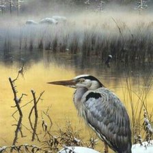 Схема вышивки «45423232»