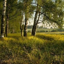 Схема вышивки «№1646526»