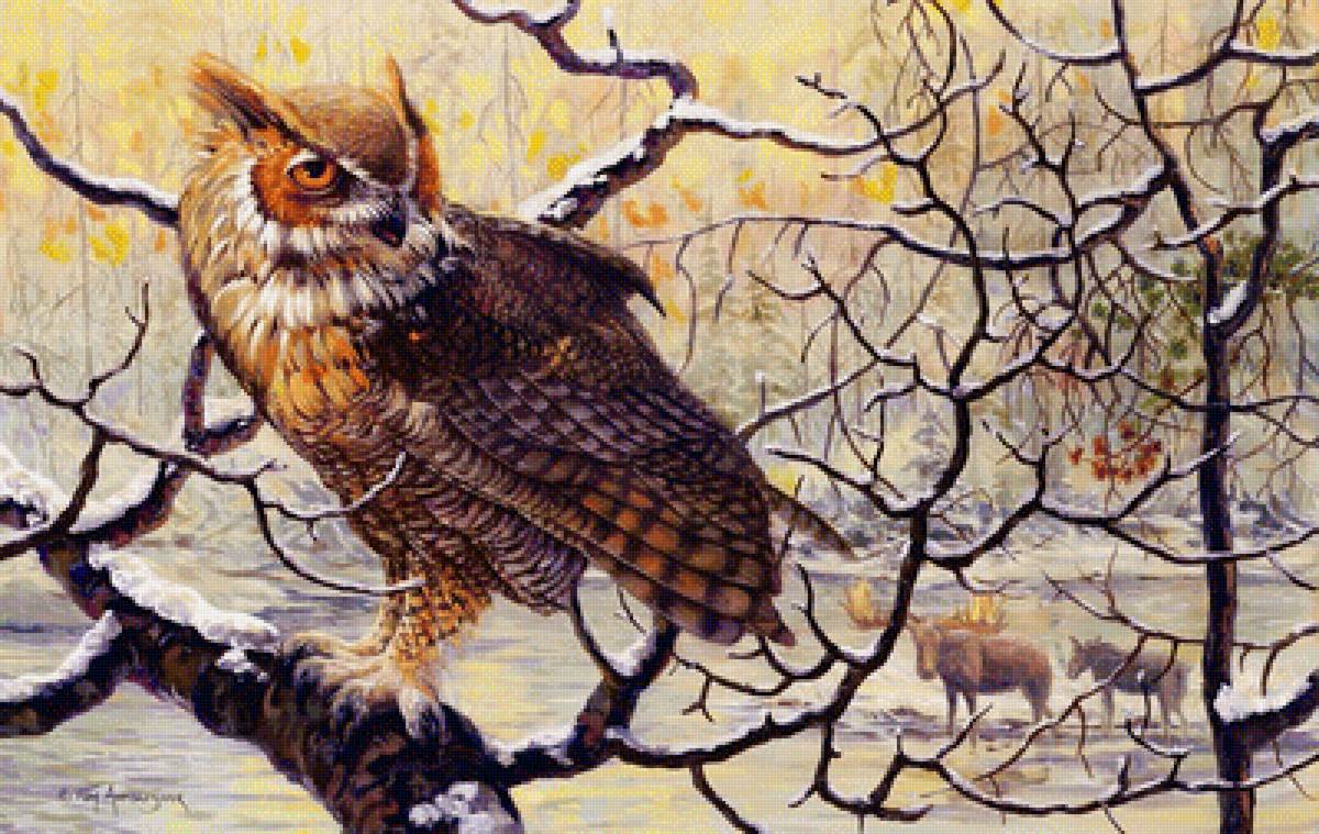 филин - животные, пейзаж, природа - предпросмотр