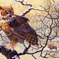 Схема вышивки «филин»