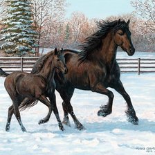 Схема вышивки «№1646925»