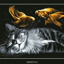 золотые сны