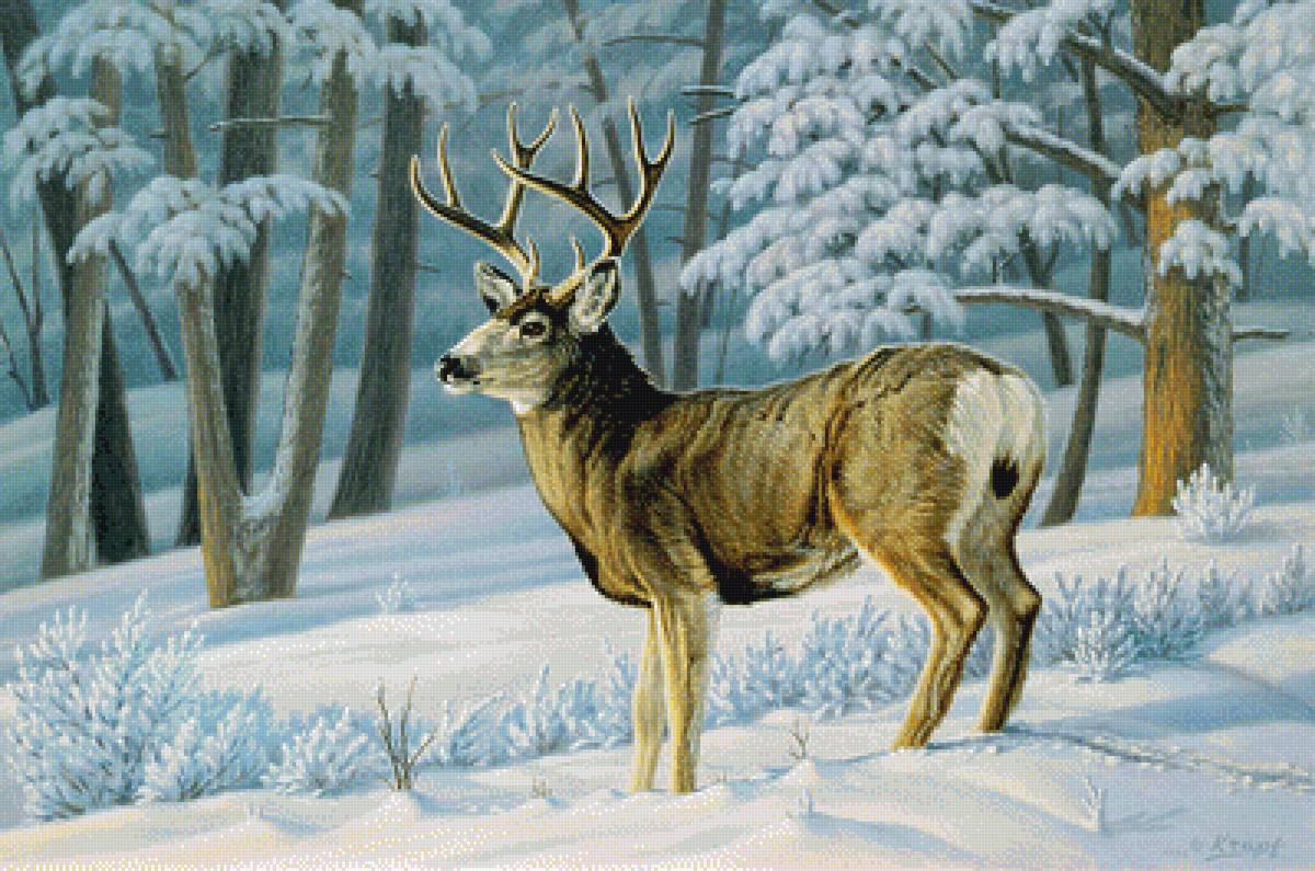 в зимнем лесу - зима, природа, животные - предпросмотр