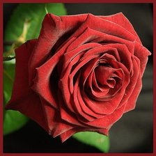 Схема вышивки «№1647734»