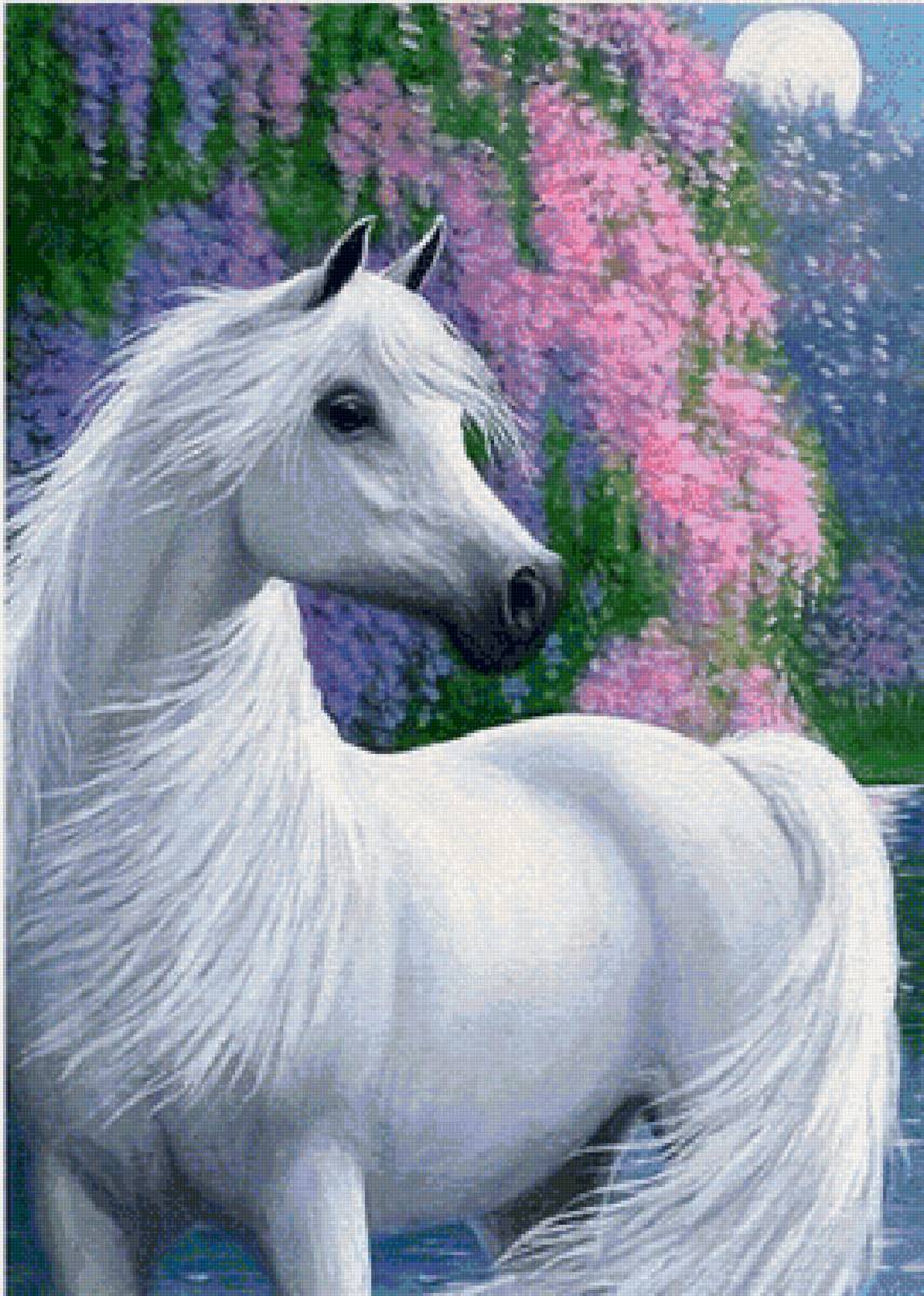 Белая лошадь - цветы, лошадь, животные - предпросмотр