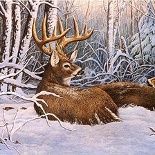 Схема вышивки «олени в зимнем лесу»
