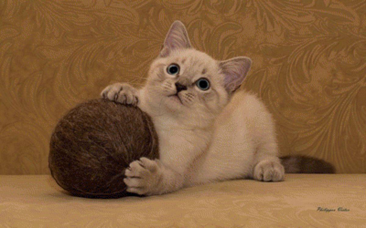 Котенок - животные, кошки - предпросмотр